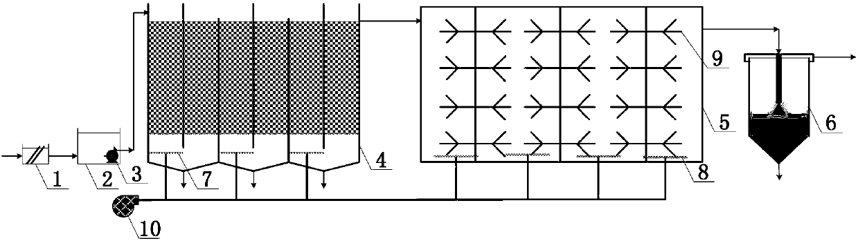 Brassica juncea pickling waste water treatment device and method