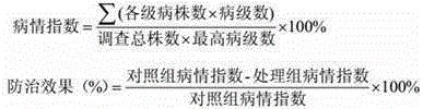 Preparing method and application of composite biological agent for agricultural root-knot nematodes