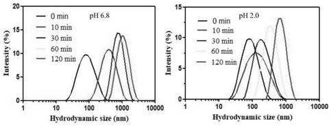 PH-responsive nanoparticle self-assembled aggregate molecular probe, and preparation method and application thereof