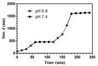 PH-responsive nanoparticle self-assembled aggregate molecular probe, and preparation method and application thereof