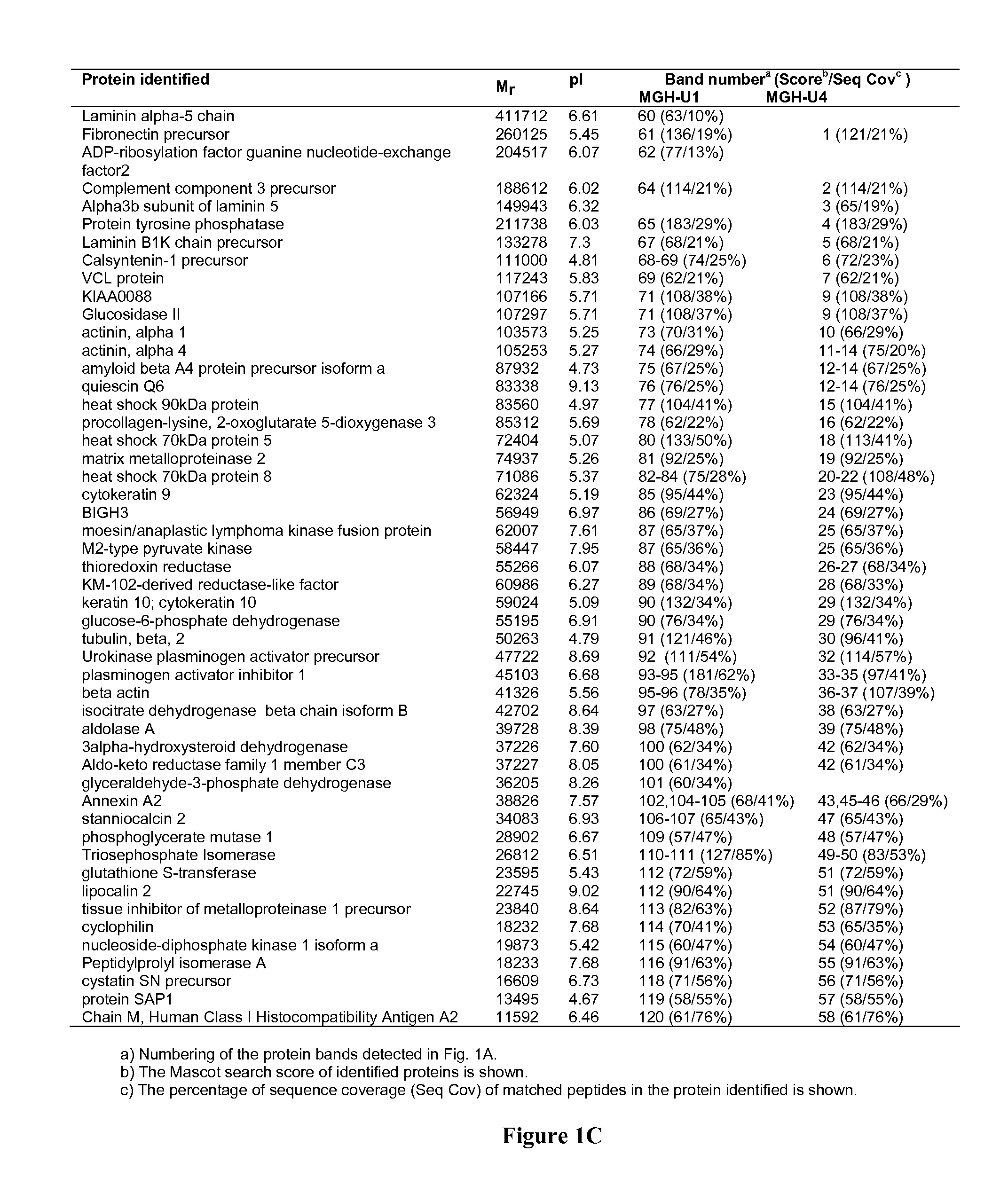 Method of identifying cancer biomarkers and cancer progression