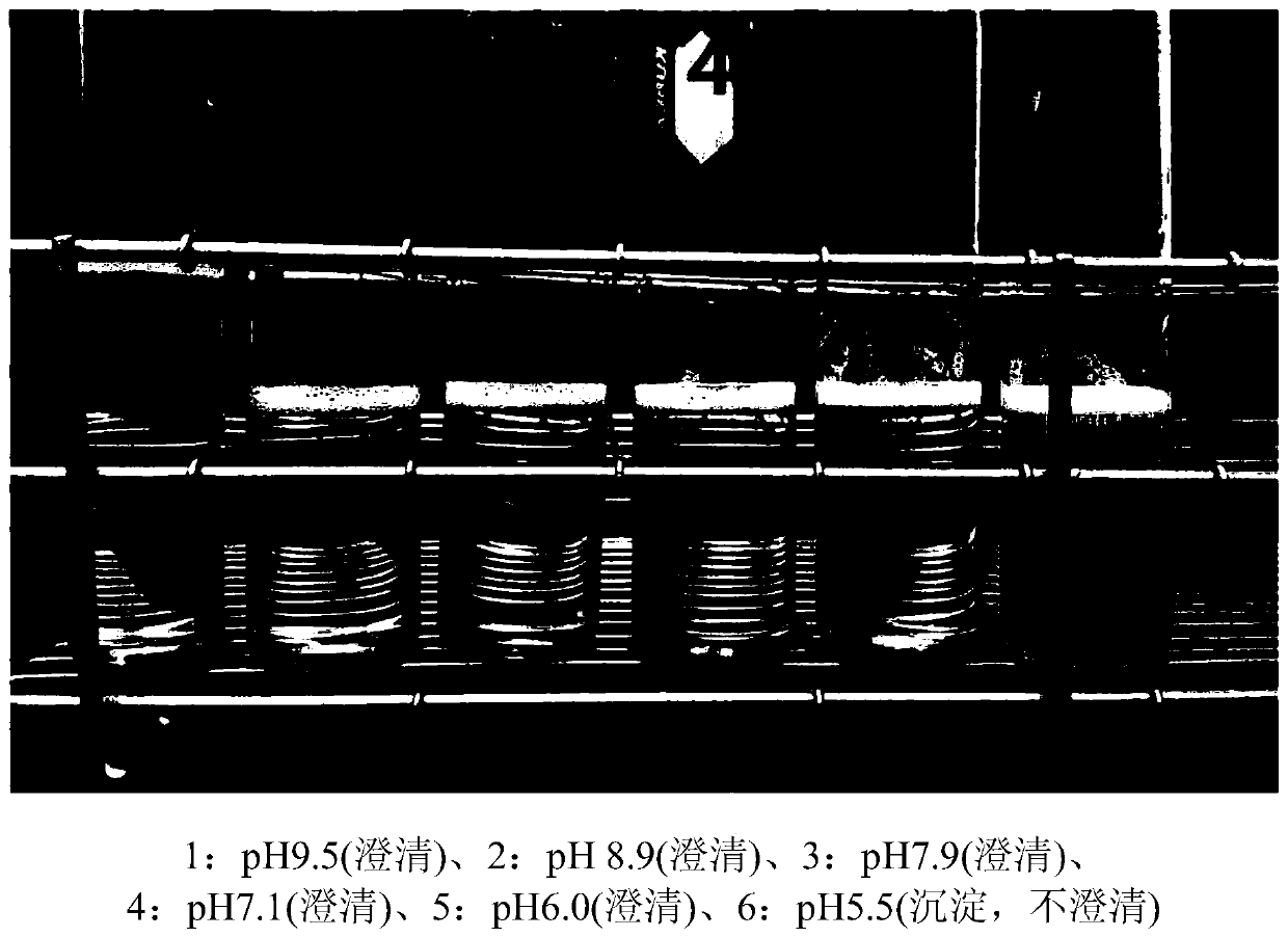 Composition containing ursodeoxycholic acid for prevention or treatment of visual impairment