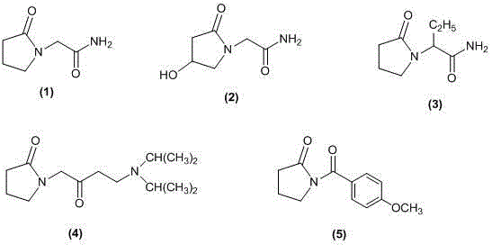 Preparation method for nebracetam