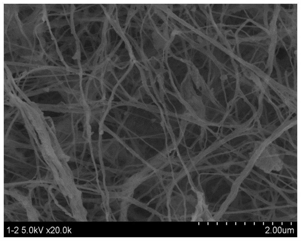 A kind of heparinized bacterial nanocellulose/chitosan composite tube and its preparation method and application