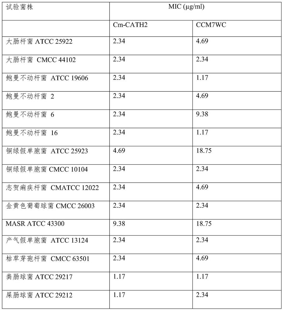 Antibacterial peptide CCM7WC as well as preparation method and application thereof