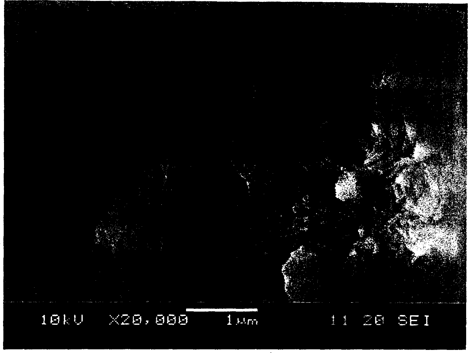 Method for preparing toluene disproportionation zeolitic catalyst with increased para-selectivity