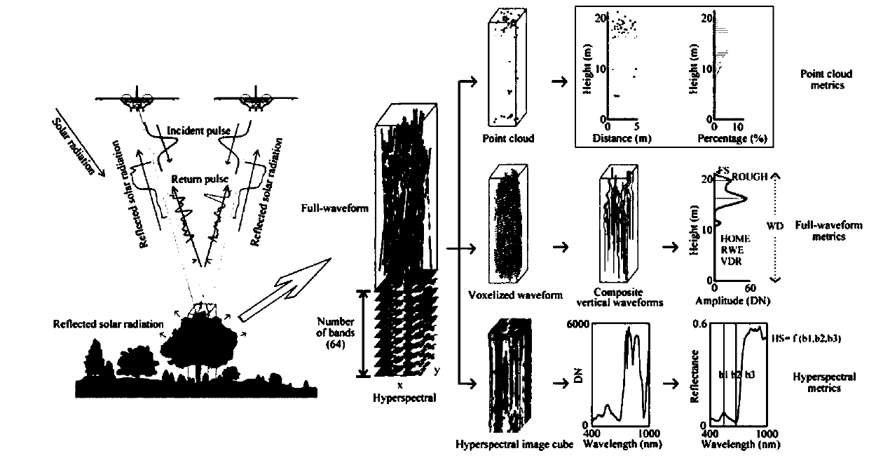 Method for jointly inverting forest structure parameters by using full-waveform lidar and hyperspectral data