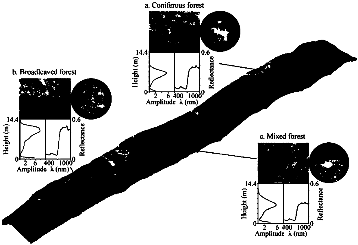 Method for jointly inverting forest structure parameters by using full-waveform lidar and hyperspectral data