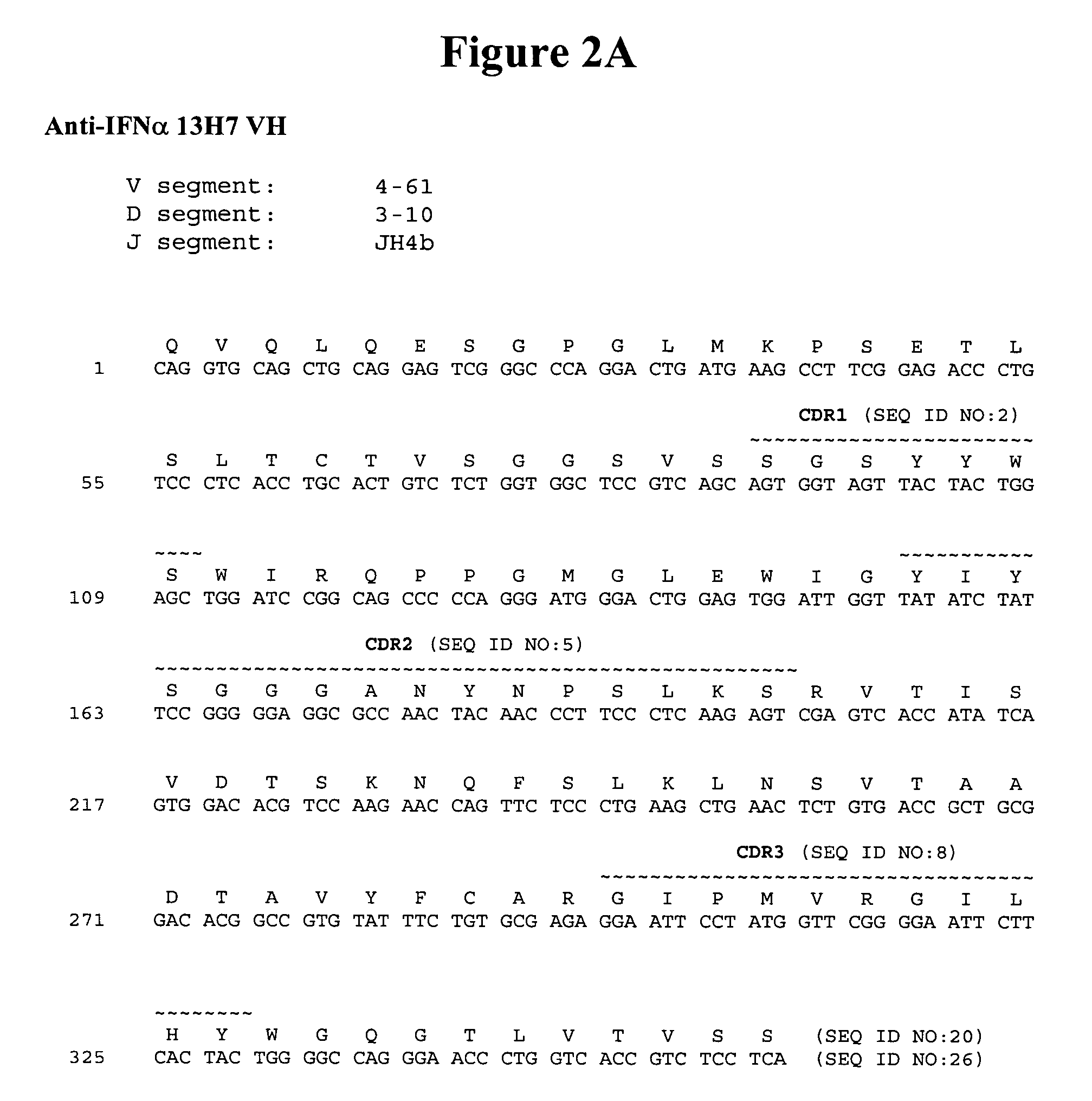 Anti-interferon alpha antibodies