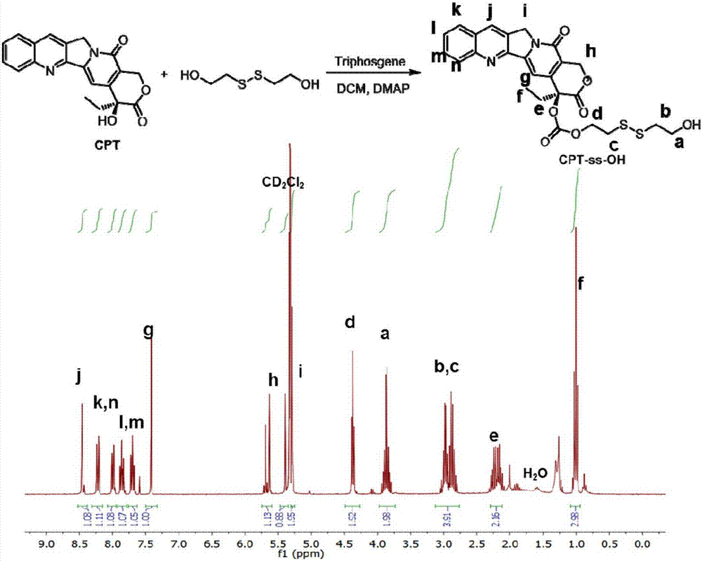 Camptothecin prodrug, and preparation method and application thereof