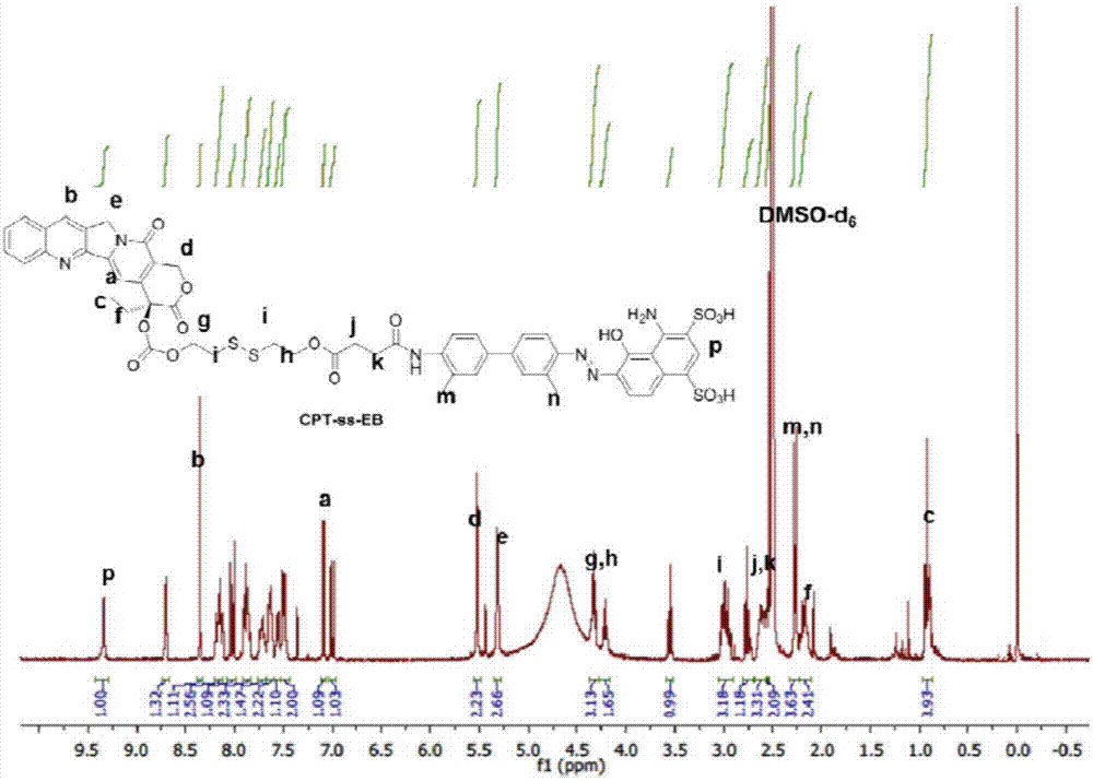 Camptothecin prodrug, and preparation method and application thereof