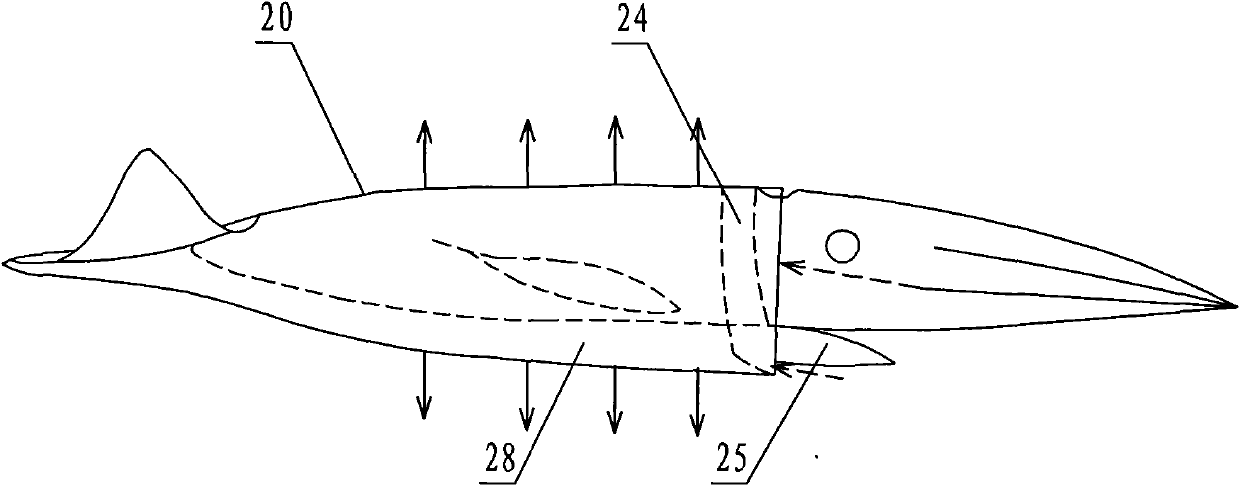 Quasi-plastic cuttlefish-imitating pulse jet propeller