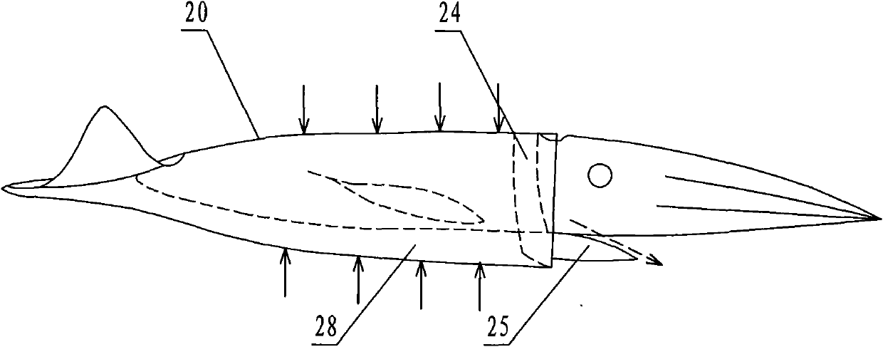 Quasi-plastic cuttlefish-imitating pulse jet propeller