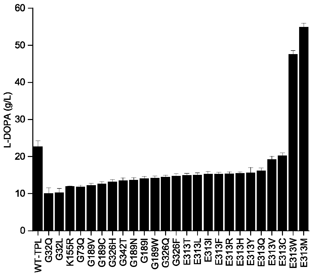 Escherichia coli expressing thermostable tyrosine phenolase and application thereof