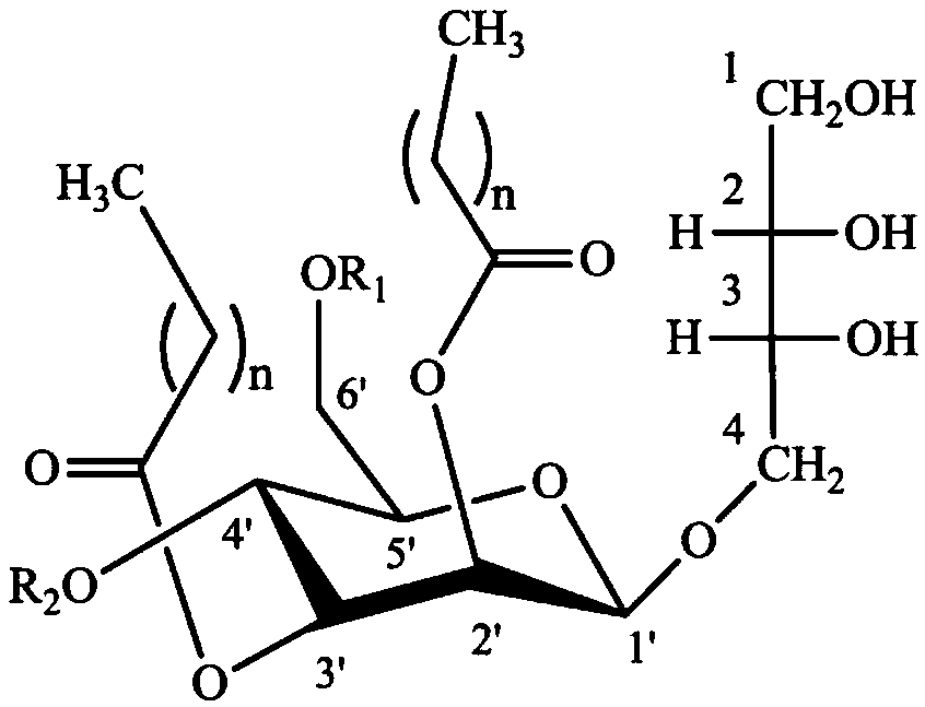 Plant essential oil chitosan nano microcapsule as well as preparation method and application thereof