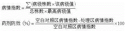 A kind of Shenzimycin aqueous suspension and preparation method thereof