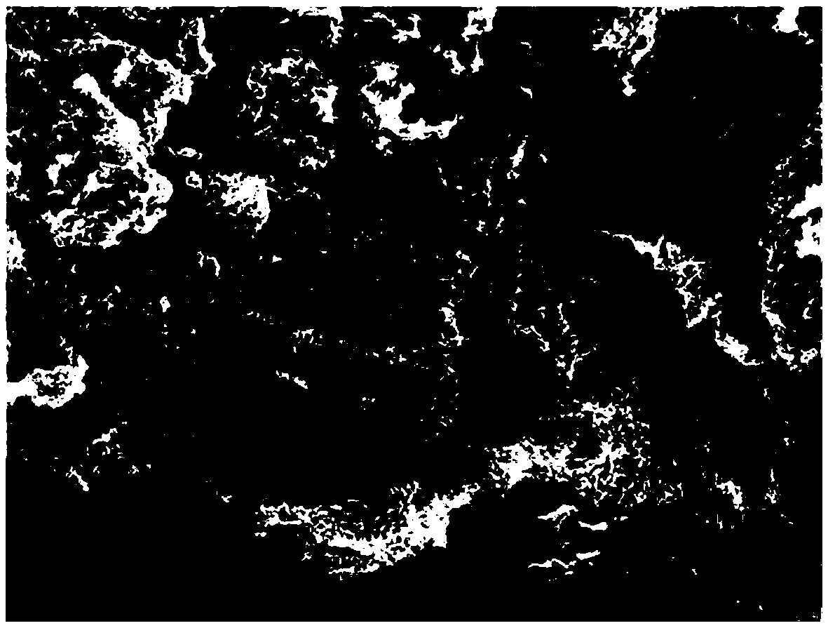 A molybdenum disulfide matrix composite material for negative electrode of lithium ion capacitor and preparation method thereof