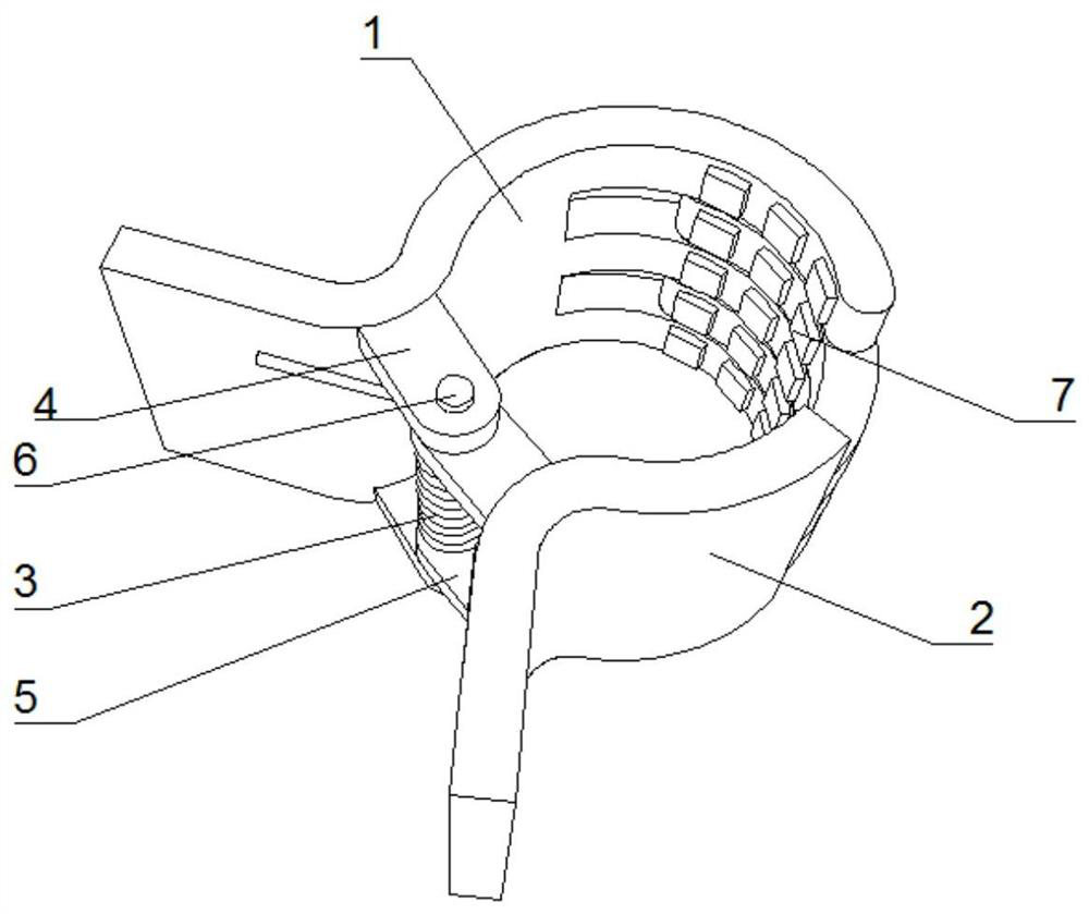 Special grafting clamp for vegetables and vegetable grafting method