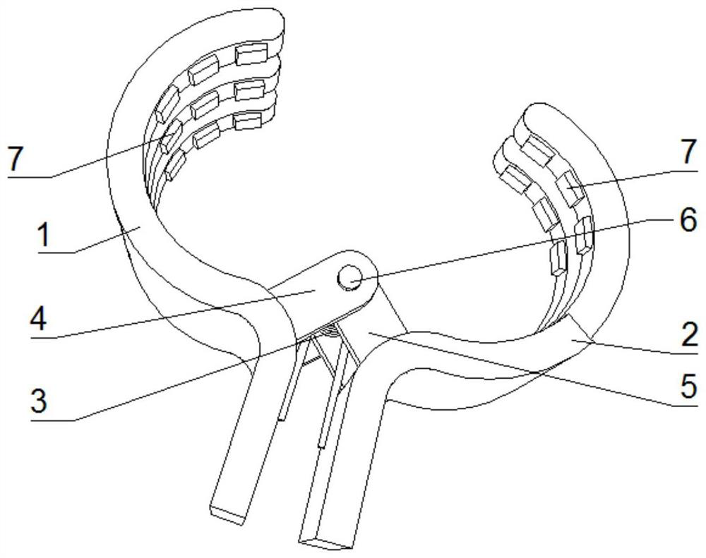 Special grafting clamp for vegetables and vegetable grafting method