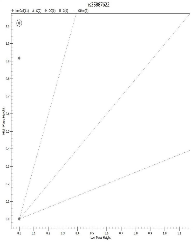 Method and application of hereditary hearing loss screening based on MassArray nucleic acid mass spectrum platform