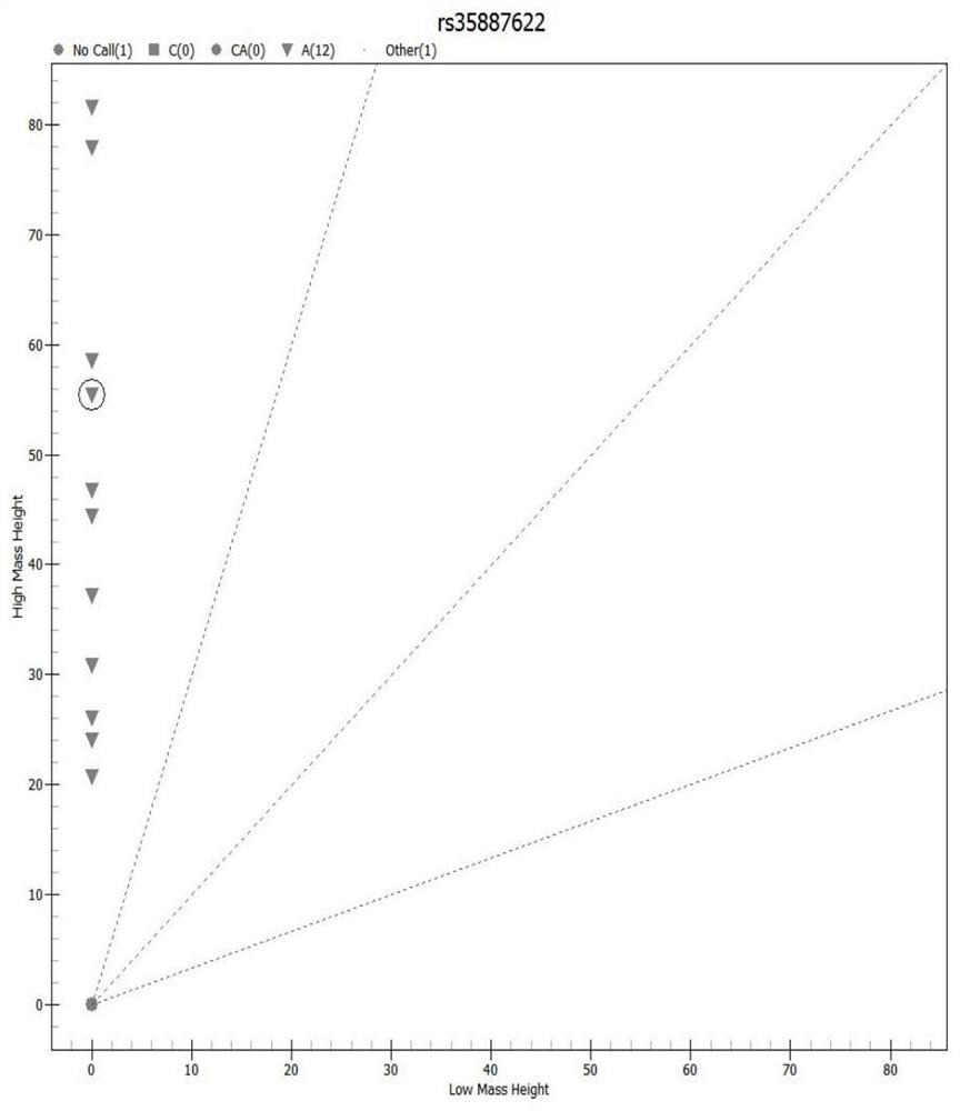 Method and application of hereditary hearing loss screening based on MassArray nucleic acid mass spectrum platform