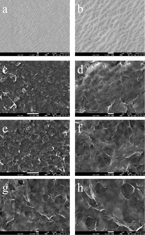 C2N/porous graphene composite material, preparation method thereof and diaphragm containing material