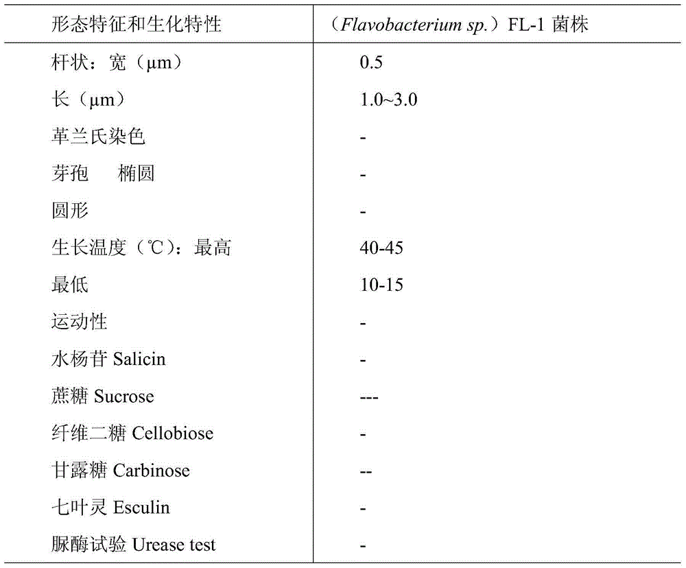 Bifunctional strain capable of degrading cellulose and starch as well as separating and screening method and application of bifunctional strain