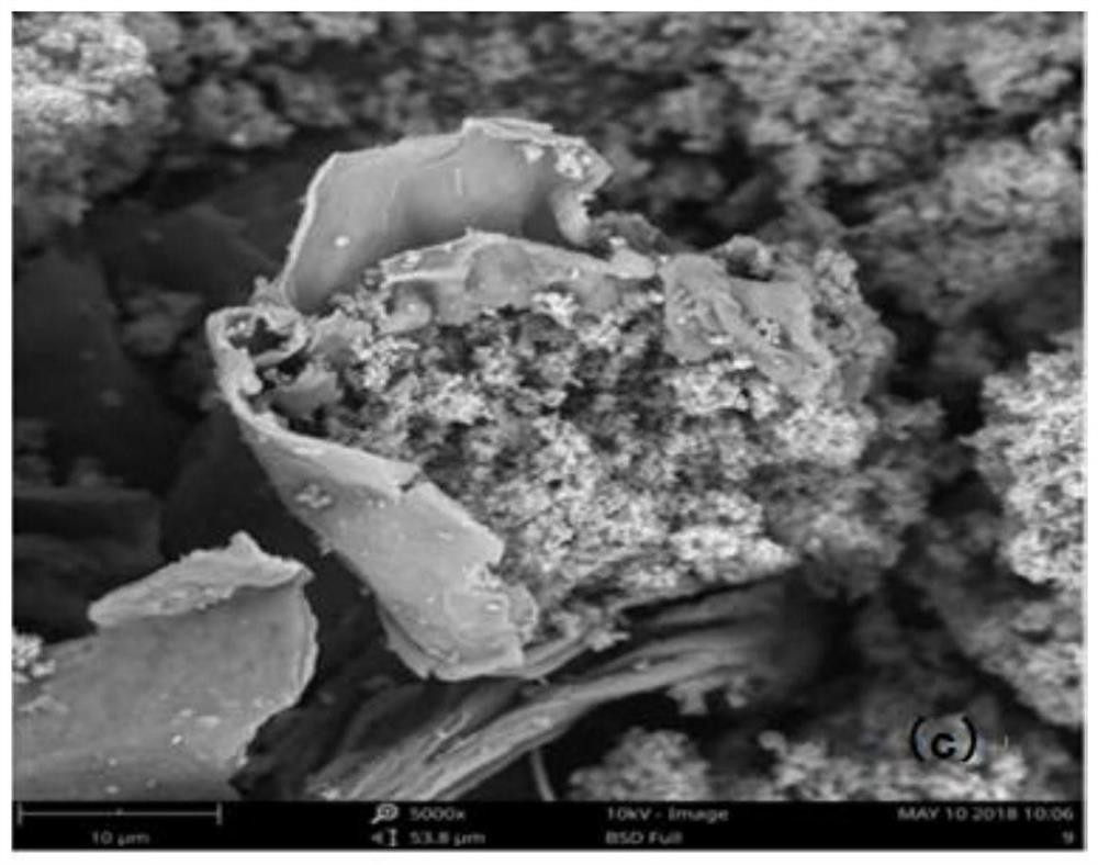 A magnetic molecular sieve/straw charcoal composite material and its preparation method and application