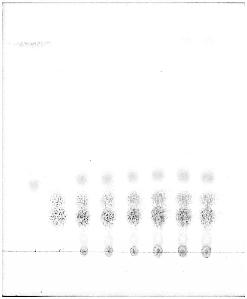 Compound salvia miltiorrhiza concentrated pills and preparation method thereof