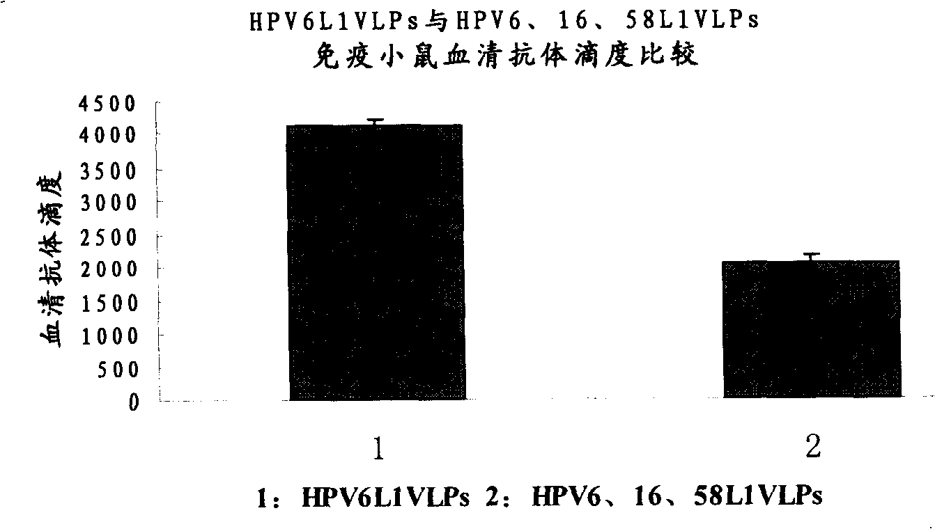 Human papilloma virus sample particle vaccines