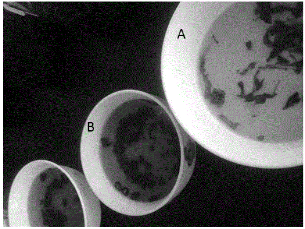 A kind of preparation method of Duosuike fermented tea and the prepared Duosuike fermented tea