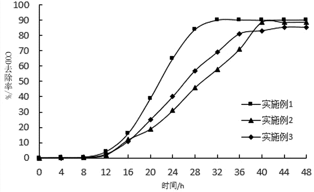 Method for conducting fixation of denitrifying bacteria with Trichodermaviride as carrier