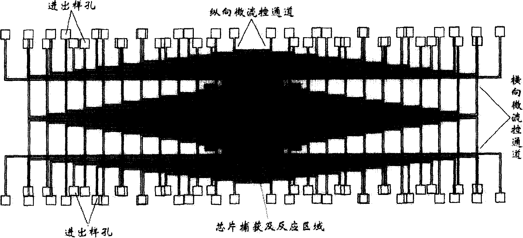 Micro fluid control array protein chip and its usage method