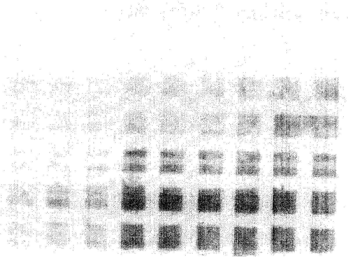 Micro fluid control array protein chip and its usage method