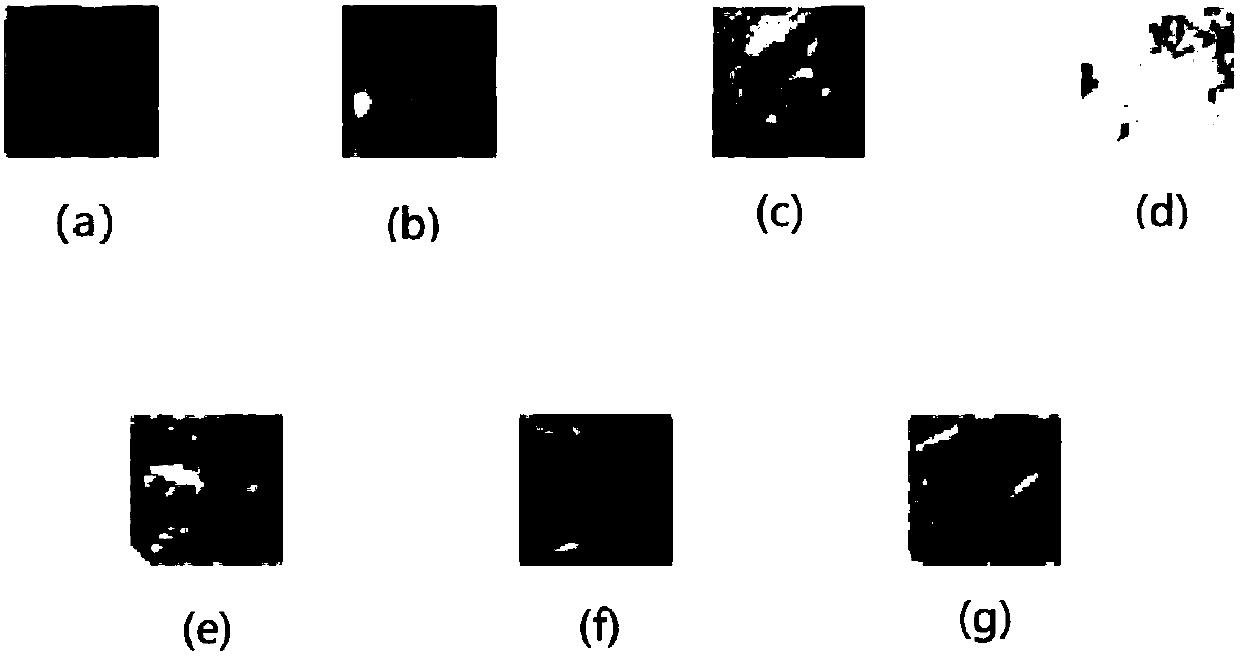 Lung texture recognition method based on deep neural network extraction appearance and geometric features