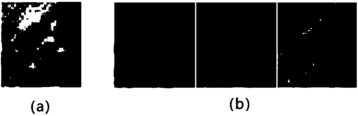 Lung texture recognition method based on deep neural network extraction appearance and geometric features