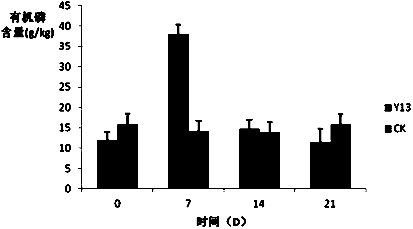 Pseudomonas fluorescens Y13, and preparation method and applications thereof