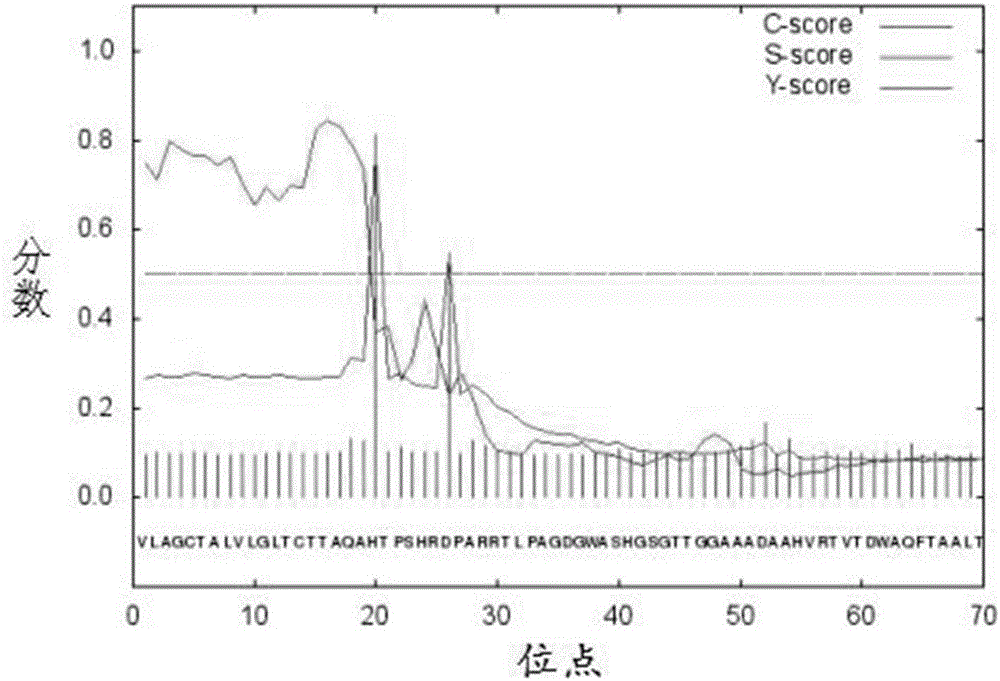 Pectate lyase coding gene cloned from Streptomyces griseorubens, as well as expression in vitro and application thereof