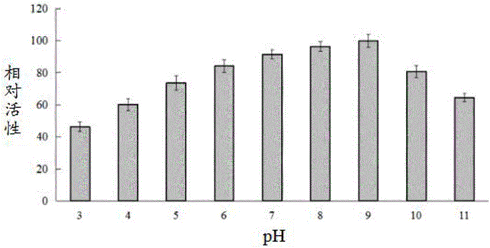 Pectate lyase coding gene cloned from Streptomyces griseorubens, as well as expression in vitro and application thereof