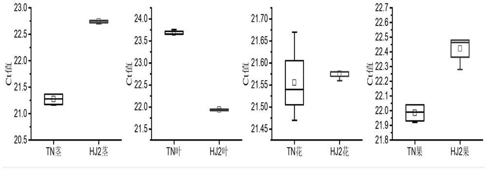 Passiflora internal reference gene and its screening method and application