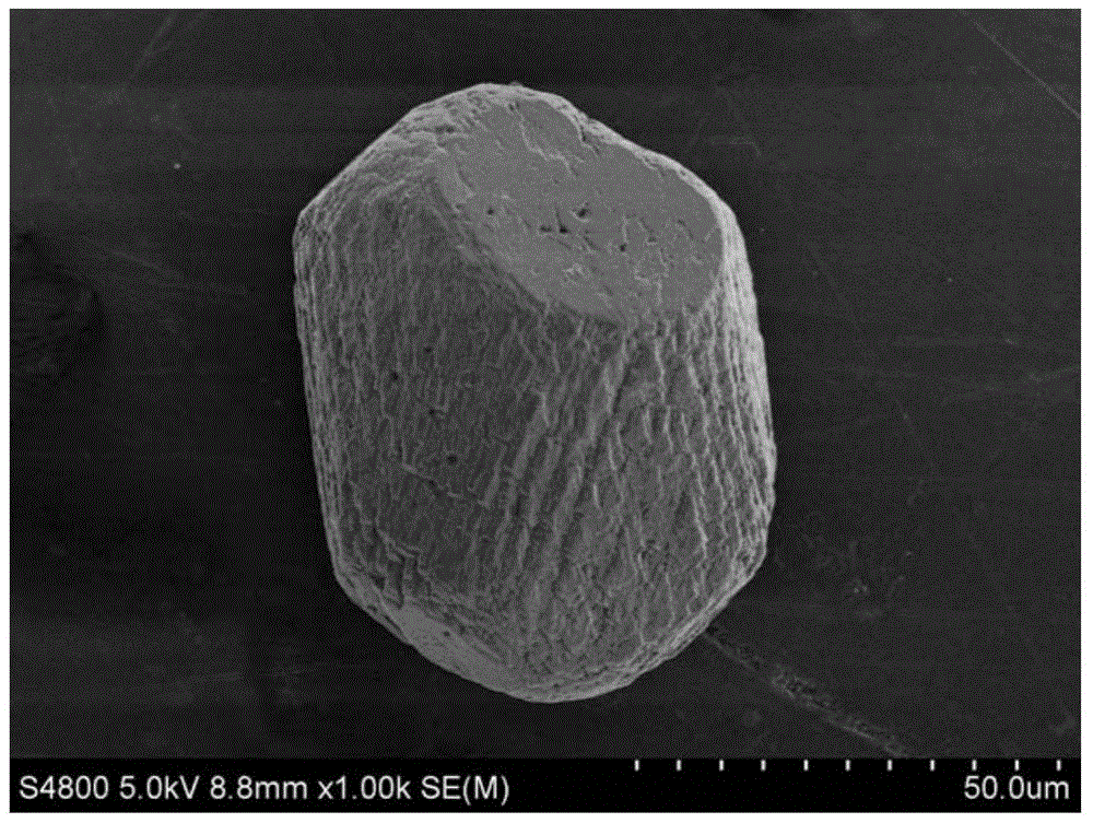 A method for rapidly separating Synechocystis cells and their mineralization products