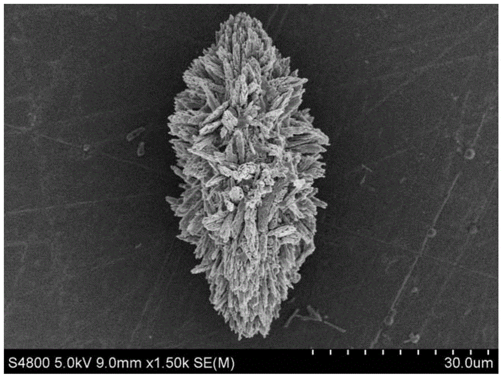 A method for rapidly separating Synechocystis cells and their mineralization products