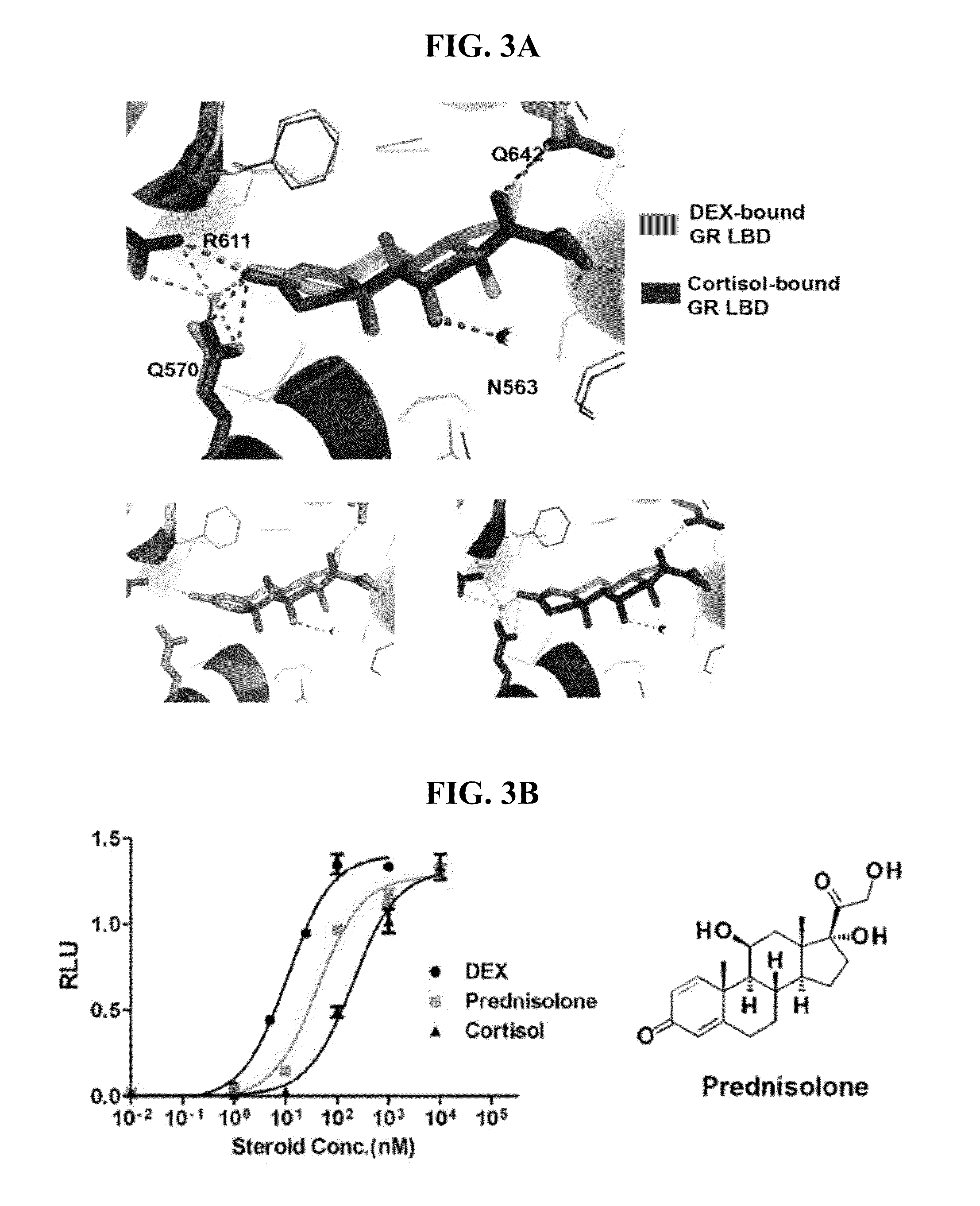 Highly Potent Glucocorticoids