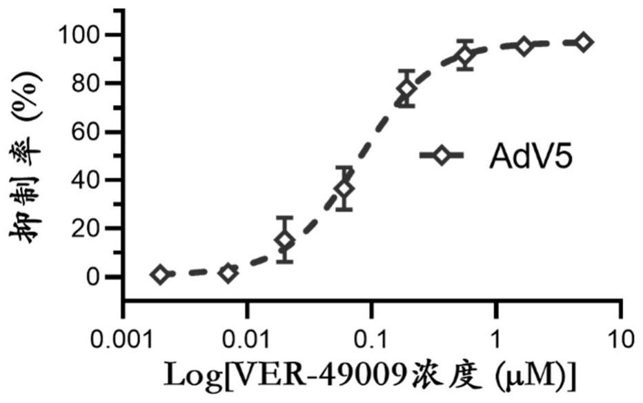 Application of VER-49009 in preparation of medicine for preventing and/or treating adenovirus infection