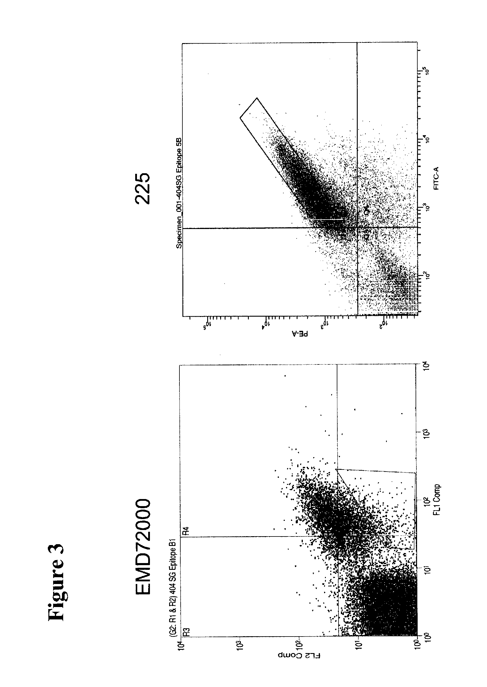 Treatment Of Tumors Expressing Mutant EGF Receptors