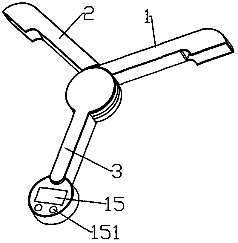 Electronic scale