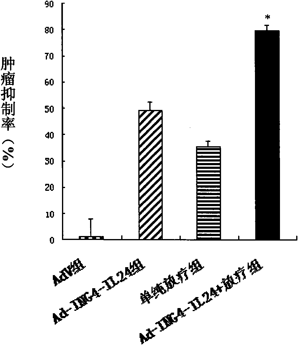 Application of ING4 and IL-24 double-gene coexpression vector as radiotherapy sensitizing agent