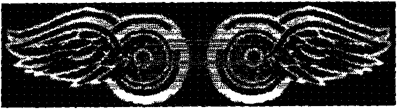 Method for extracting and describing DAISY-based feature with mirror face turning invariance