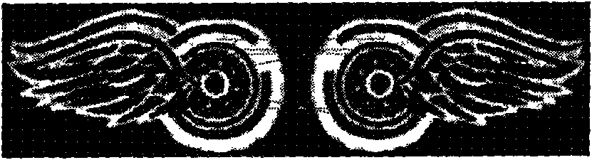 Method for extracting and describing DAISY-based feature with mirror face turning invariance