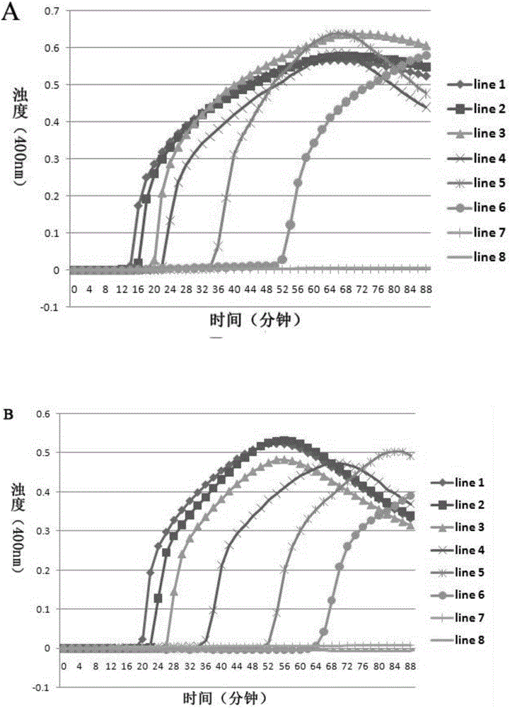 RT-LAMP primer combination and kit for detecting HA gene and NA gene of H7N9 virus